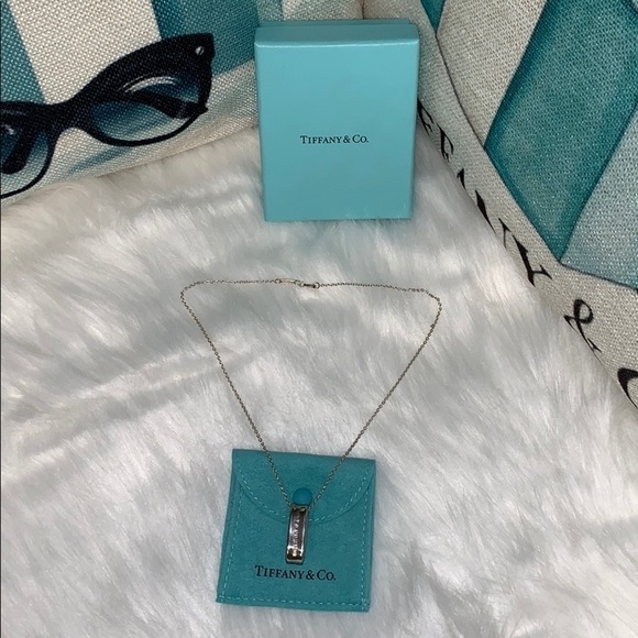Tiffany & Co. 1837 Oval Loop Pendant Necklace​​ - Picture 3 of 9